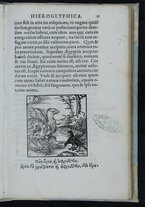 libroantico/TO0E033943/0036