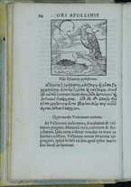 libroantico/TO0E033943/0049