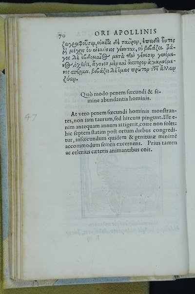 Horou Apollonos Neiloou hieroglyphika. Ori Apollinis Niliaci, De sacris notis & sculpturis libri duo, vbi ad fidem vetusti codicis manu scripti restituta sunt loca permulta, corrupta ante ac deplorata. Quibus accessit uersio recens, per Io. Mercerum Vticensem concinnata, & obseruationes non infrugiferae