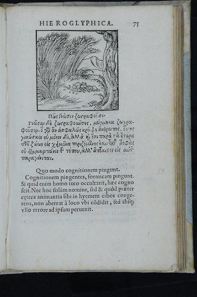 Horou Apollonos Neiloou hieroglyphika. Ori Apollinis Niliaci, De sacris notis & sculpturis libri duo, vbi ad fidem vetusti codicis manu scripti restituta sunt loca permulta, corrupta ante ac deplorata. Quibus accessit uersio recens, per Io. Mercerum Vticensem concinnata, & obseruationes non infrugiferae