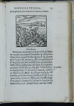 libroantico/TO0E033943/0102