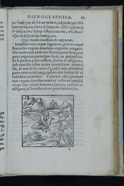 Horou Apollonos Neiloou hieroglyphika. Ori Apollinis Niliaci, De sacris notis & sculpturis libri duo, vbi ad fidem vetusti codicis manu scripti restituta sunt loca permulta, corrupta ante ac deplorata. Quibus accessit uersio recens, per Io. Mercerum Vticensem concinnata, & obseruationes non infrugiferae