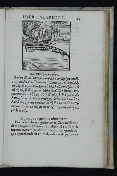 Horou Apollonos Neiloou hieroglyphika. Ori Apollinis Niliaci, De sacris notis & sculpturis libri duo, vbi ad fidem vetusti codicis manu scripti restituta sunt loca permulta, corrupta ante ac deplorata. Quibus accessit uersio recens, per Io. Mercerum Vticensem concinnata, & obseruationes non infrugiferae