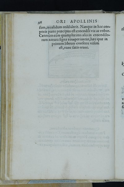 Horou Apollonos Neiloou hieroglyphika. Ori Apollinis Niliaci, De sacris notis & sculpturis libri duo, vbi ad fidem vetusti codicis manu scripti restituta sunt loca permulta, corrupta ante ac deplorata. Quibus accessit uersio recens, per Io. Mercerum Vticensem concinnata, & obseruationes non infrugiferae