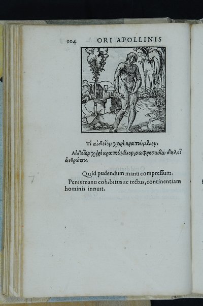 Horou Apollonos Neiloou hieroglyphika. Ori Apollinis Niliaci, De sacris notis & sculpturis libri duo, vbi ad fidem vetusti codicis manu scripti restituta sunt loca permulta, corrupta ante ac deplorata. Quibus accessit uersio recens, per Io. Mercerum Vticensem concinnata, & obseruationes non infrugiferae