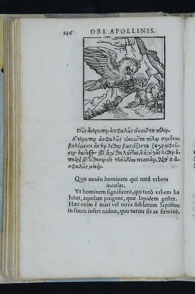 Horou Apollonos Neiloou hieroglyphika. Ori Apollinis Niliaci, De sacris notis & sculpturis libri duo, vbi ad fidem vetusti codicis manu scripti restituta sunt loca permulta, corrupta ante ac deplorata. Quibus accessit uersio recens, per Io. Mercerum Vticensem concinnata, & obseruationes non infrugiferae