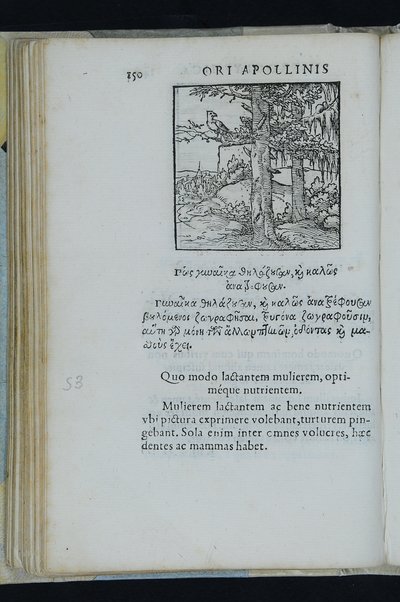 Horou Apollonos Neiloou hieroglyphika. Ori Apollinis Niliaci, De sacris notis & sculpturis libri duo, vbi ad fidem vetusti codicis manu scripti restituta sunt loca permulta, corrupta ante ac deplorata. Quibus accessit uersio recens, per Io. Mercerum Vticensem concinnata, & obseruationes non infrugiferae