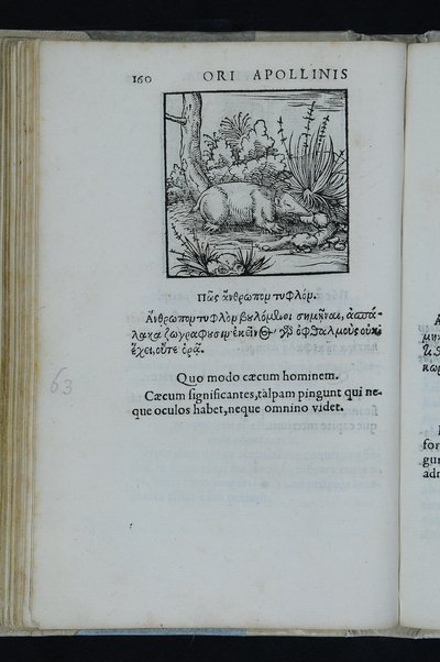 Horou Apollonos Neiloou hieroglyphika. Ori Apollinis Niliaci, De sacris notis & sculpturis libri duo, vbi ad fidem vetusti codicis manu scripti restituta sunt loca permulta, corrupta ante ac deplorata. Quibus accessit uersio recens, per Io. Mercerum Vticensem concinnata, & obseruationes non infrugiferae