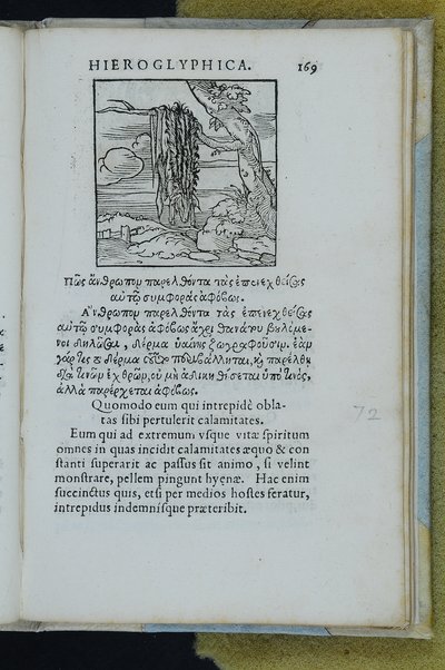 Horou Apollonos Neiloou hieroglyphika. Ori Apollinis Niliaci, De sacris notis & sculpturis libri duo, vbi ad fidem vetusti codicis manu scripti restituta sunt loca permulta, corrupta ante ac deplorata. Quibus accessit uersio recens, per Io. Mercerum Vticensem concinnata, & obseruationes non infrugiferae