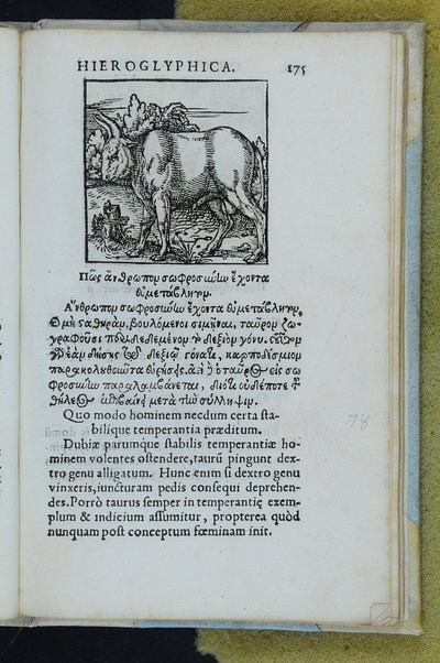 Horou Apollonos Neiloou hieroglyphika. Ori Apollinis Niliaci, De sacris notis & sculpturis libri duo, vbi ad fidem vetusti codicis manu scripti restituta sunt loca permulta, corrupta ante ac deplorata. Quibus accessit uersio recens, per Io. Mercerum Vticensem concinnata, & obseruationes non infrugiferae