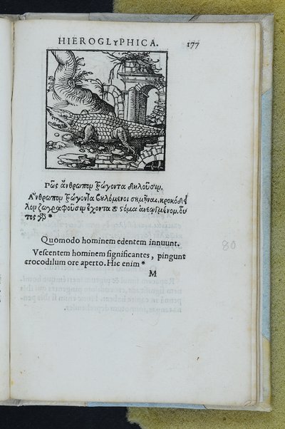 Horou Apollonos Neiloou hieroglyphika. Ori Apollinis Niliaci, De sacris notis & sculpturis libri duo, vbi ad fidem vetusti codicis manu scripti restituta sunt loca permulta, corrupta ante ac deplorata. Quibus accessit uersio recens, per Io. Mercerum Vticensem concinnata, & obseruationes non infrugiferae