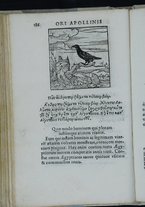 libroantico/TO0E033943/0211