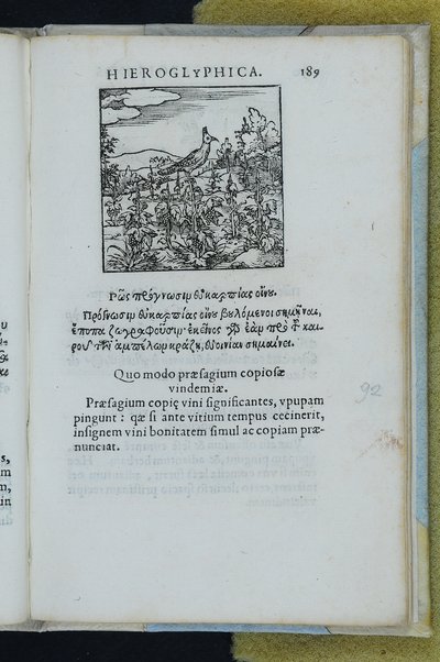 Horou Apollonos Neiloou hieroglyphika. Ori Apollinis Niliaci, De sacris notis & sculpturis libri duo, vbi ad fidem vetusti codicis manu scripti restituta sunt loca permulta, corrupta ante ac deplorata. Quibus accessit uersio recens, per Io. Mercerum Vticensem concinnata, & obseruationes non infrugiferae