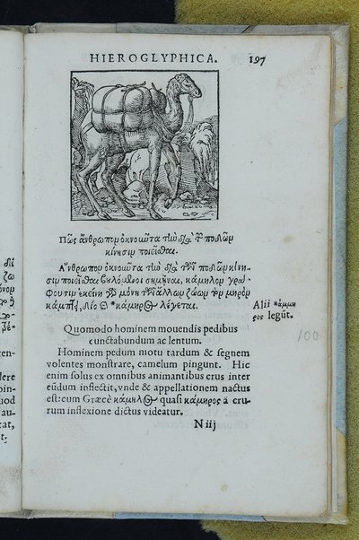 Horou Apollonos Neiloou hieroglyphika. Ori Apollinis Niliaci, De sacris notis & sculpturis libri duo, vbi ad fidem vetusti codicis manu scripti restituta sunt loca permulta, corrupta ante ac deplorata. Quibus accessit uersio recens, per Io. Mercerum Vticensem concinnata, & obseruationes non infrugiferae