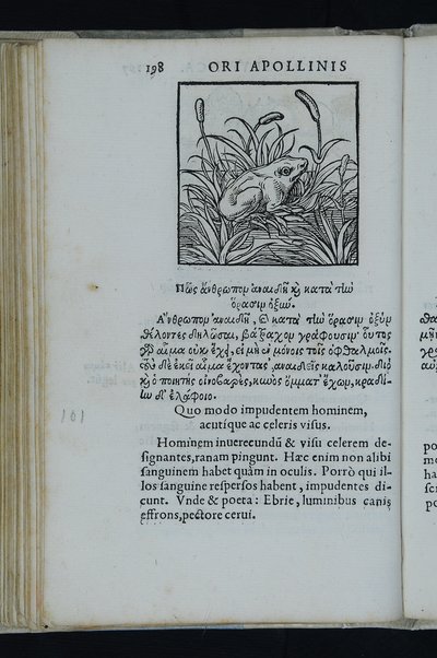 Horou Apollonos Neiloou hieroglyphika. Ori Apollinis Niliaci, De sacris notis & sculpturis libri duo, vbi ad fidem vetusti codicis manu scripti restituta sunt loca permulta, corrupta ante ac deplorata. Quibus accessit uersio recens, per Io. Mercerum Vticensem concinnata, & obseruationes non infrugiferae