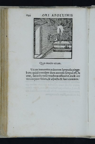 Horou Apollonos Neiloou hieroglyphika. Ori Apollinis Niliaci, De sacris notis & sculpturis libri duo, vbi ad fidem vetusti codicis manu scripti restituta sunt loca permulta, corrupta ante ac deplorata. Quibus accessit uersio recens, per Io. Mercerum Vticensem concinnata, & obseruationes non infrugiferae