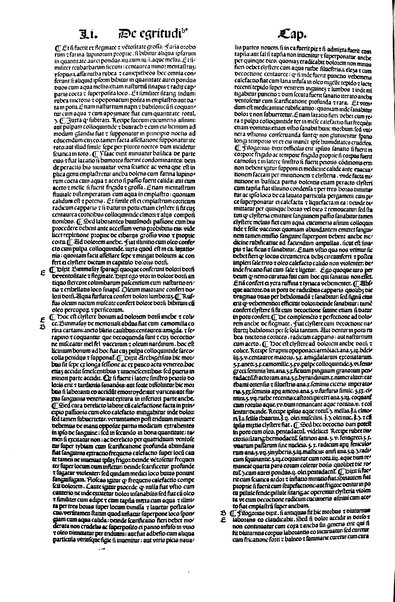 [Dictionnaire universel de medecine, de chirurgie, de chymie, de botanique, d'anatomie, de pharmacie, d'histoire naturelle, &c. Précédé d'un Discours historique sur l'origine & les progres de la medecine. Traduit de l'anglois de m. James par m.rs Diderot, Eidous & Toussaint. Revu, corrigé & augmenté par m. Julien Busson ... Tome premier [-sixieme]] 5