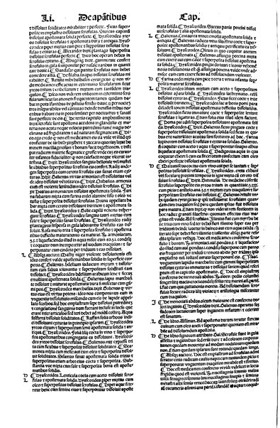 [Dictionnaire universel de medecine, de chirurgie, de chymie, de botanique, d'anatomie, de pharmacie, d'histoire naturelle, &c. Précédé d'un Discours historique sur l'origine & les progres de la medecine. Traduit de l'anglois de m. James par m.rs Diderot, Eidous & Toussaint. Revu, corrigé & augmenté par m. Julien Busson ... Tome premier [-sixieme]] 5