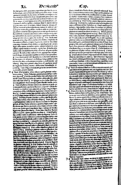 [Dictionnaire universel de medecine, de chirurgie, de chymie, de botanique, d'anatomie, de pharmacie, d'histoire naturelle, &c. Précédé d'un Discours historique sur l'origine & les progres de la medecine. Traduit de l'anglois de m. James par m.rs Diderot, Eidous & Toussaint. Revu, corrigé & augmenté par m. Julien Busson ... Tome premier [-sixieme]] 5