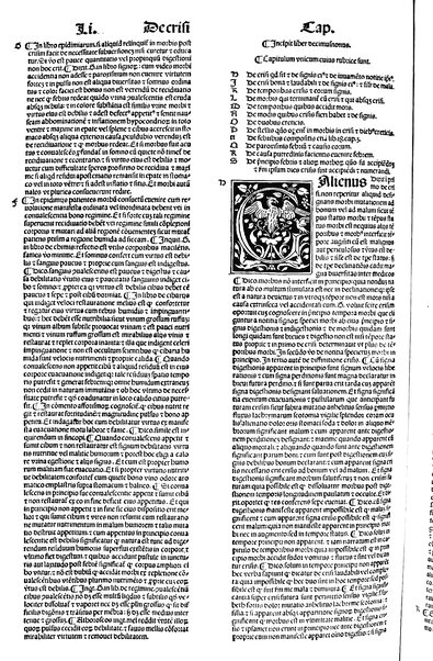 [Dictionnaire universel de medecine, de chirurgie, de chymie, de botanique, d'anatomie, de pharmacie, d'histoire naturelle, &c. Précédé d'un Discours historique sur l'origine & les progres de la medecine. Traduit de l'anglois de m. James par m.rs Diderot, Eidous & Toussaint. Revu, corrigé & augmenté par m. Julien Busson ... Tome premier [-sixieme]] 5