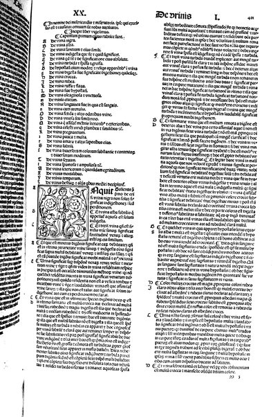 [Dictionnaire universel de medecine, de chirurgie, de chymie, de botanique, d'anatomie, de pharmacie, d'histoire naturelle, &c. Précédé d'un Discours historique sur l'origine & les progres de la medecine. Traduit de l'anglois de m. James par m.rs Diderot, Eidous & Toussaint. Revu, corrigé & augmenté par m. Julien Busson ... Tome premier [-sixieme]] 5