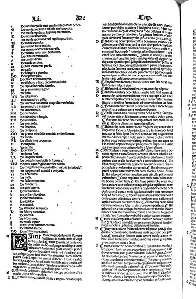 [Dictionnaire universel de medecine, de chirurgie, de chymie, de botanique, d'anatomie, de pharmacie, d'histoire naturelle, &c. Précédé d'un Discours historique sur l'origine & les progres de la medecine. Traduit de l'anglois de m. James par m.rs Diderot, Eidous & Toussaint. Revu, corrigé & augmenté par m. Julien Busson ... Tome premier [-sixieme]] 5