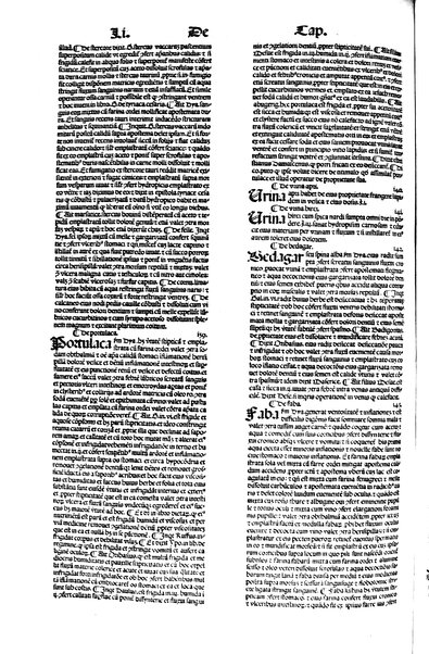 [Dictionnaire universel de medecine, de chirurgie, de chymie, de botanique, d'anatomie, de pharmacie, d'histoire naturelle, &c. Précédé d'un Discours historique sur l'origine & les progres de la medecine. Traduit de l'anglois de m. James par m.rs Diderot, Eidous & Toussaint. Revu, corrigé & augmenté par m. Julien Busson ... Tome premier [-sixieme]] 5