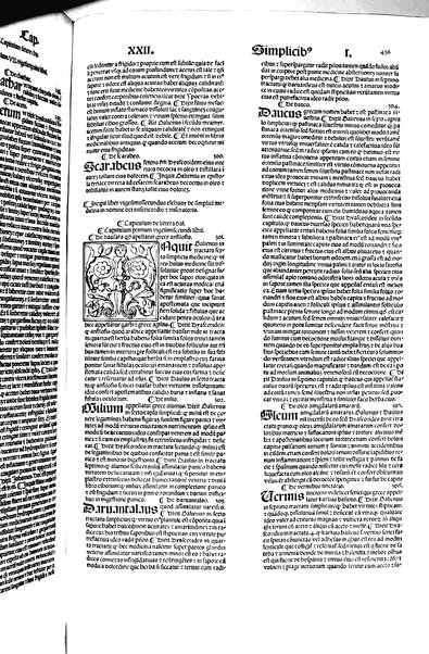 [Dictionnaire universel de medecine, de chirurgie, de chymie, de botanique, d'anatomie, de pharmacie, d'histoire naturelle, &c. Précédé d'un Discours historique sur l'origine & les progres de la medecine. Traduit de l'anglois de m. James par m.rs Diderot, Eidous & Toussaint. Revu, corrigé & augmenté par m. Julien Busson ... Tome premier [-sixieme]] 5