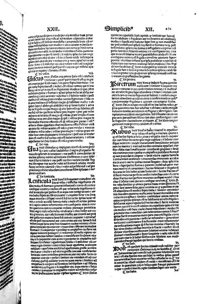 [Dictionnaire universel de medecine, de chirurgie, de chymie, de botanique, d'anatomie, de pharmacie, d'histoire naturelle, &c. Précédé d'un Discours historique sur l'origine & les progres de la medecine. Traduit de l'anglois de m. James par m.rs Diderot, Eidous & Toussaint. Revu, corrigé & augmenté par m. Julien Busson ... Tome premier [-sixieme]] 5