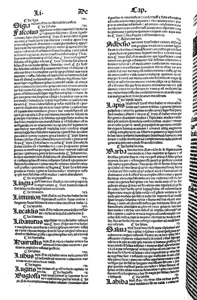[Dictionnaire universel de medecine, de chirurgie, de chymie, de botanique, d'anatomie, de pharmacie, d'histoire naturelle, &c. Précédé d'un Discours historique sur l'origine & les progres de la medecine. Traduit de l'anglois de m. James par m.rs Diderot, Eidous & Toussaint. Revu, corrigé & augmenté par m. Julien Busson ... Tome premier [-sixieme]] 5