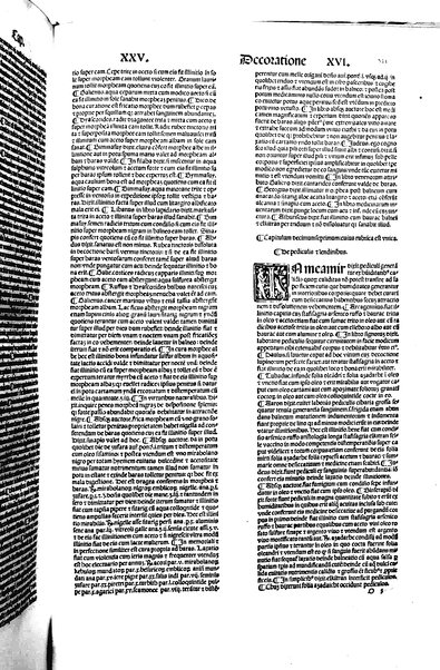 [Dictionnaire universel de medecine, de chirurgie, de chymie, de botanique, d'anatomie, de pharmacie, d'histoire naturelle, &c. Précédé d'un Discours historique sur l'origine & les progres de la medecine. Traduit de l'anglois de m. James par m.rs Diderot, Eidous & Toussaint. Revu, corrigé & augmenté par m. Julien Busson ... Tome premier [-sixieme]] 5