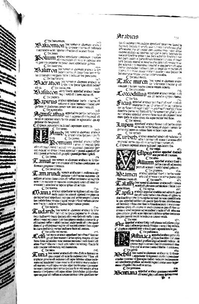 [Dictionnaire universel de medecine, de chirurgie, de chymie, de botanique, d'anatomie, de pharmacie, d'histoire naturelle, &c. Précédé d'un Discours historique sur l'origine & les progres de la medecine. Traduit de l'anglois de m. James par m.rs Diderot, Eidous & Toussaint. Revu, corrigé & augmenté par m. Julien Busson ... Tome premier [-sixieme]] 5