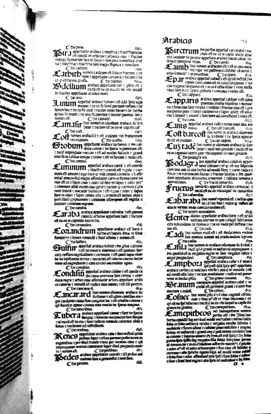 [Dictionnaire universel de medecine, de chirurgie, de chymie, de botanique, d'anatomie, de pharmacie, d'histoire naturelle, &c. Précédé d'un Discours historique sur l'origine & les progres de la medecine. Traduit de l'anglois de m. James par m.rs Diderot, Eidous & Toussaint. Revu, corrigé & augmenté par m. Julien Busson ... Tome premier [-sixieme]] 5