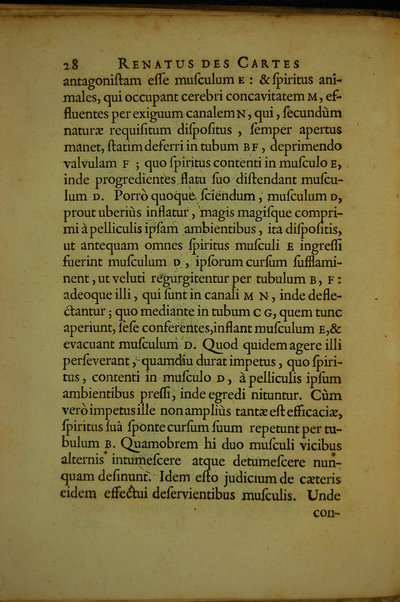 De homine figuris, et Latinitate donatus a Florentio Schuyl, ... / Renatus Des Cartes