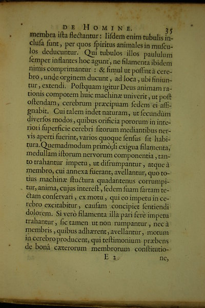 De homine figuris, et Latinitate donatus a Florentio Schuyl, ... / Renatus Des Cartes