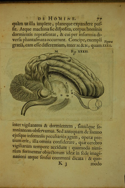 De homine figuris, et Latinitate donatus a Florentio Schuyl, ... / Renatus Des Cartes