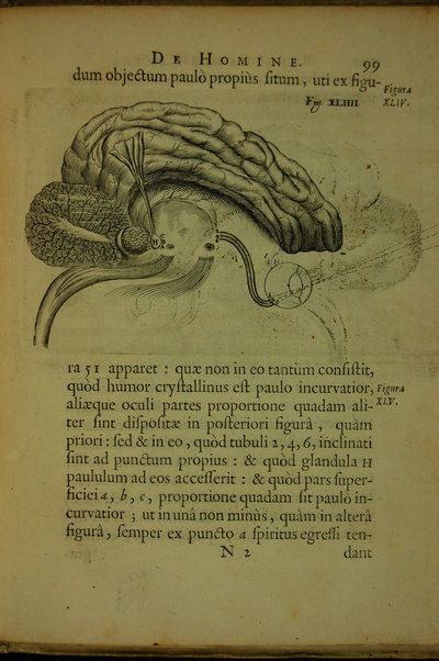 De homine figuris, et Latinitate donatus a Florentio Schuyl, ... / Renatus Des Cartes