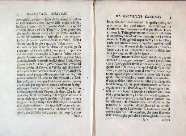 Osservazioni anatomiche di Giovanni Caldesi aretino intorno alle tartarughe marittime, d'acqua dolce, e terrestri. Scritte in una lettera all'illustriss. sig. Francesco Redi