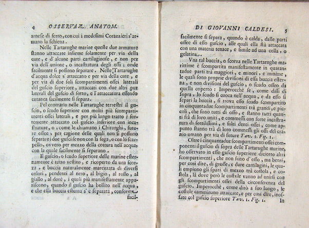 Osservazioni anatomiche di Giovanni Caldesi aretino intorno alle tartarughe marittime, d'acqua dolce, e terrestri. Scritte in una lettera all'illustriss. sig. Francesco Redi