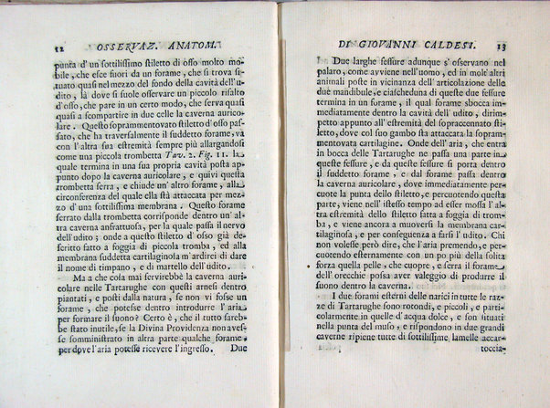 Osservazioni anatomiche di Giovanni Caldesi aretino intorno alle tartarughe marittime, d'acqua dolce, e terrestri. Scritte in una lettera all'illustriss. sig. Francesco Redi