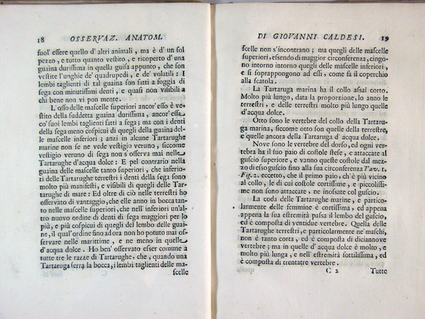 Osservazioni anatomiche di Giovanni Caldesi aretino intorno alle tartarughe marittime, d'acqua dolce, e terrestri. Scritte in una lettera all'illustriss. sig. Francesco Redi