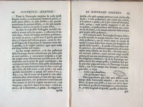 Osservazioni anatomiche di Giovanni Caldesi aretino intorno alle tartarughe marittime, d'acqua dolce, e terrestri. Scritte in una lettera all'illustriss. sig. Francesco Redi