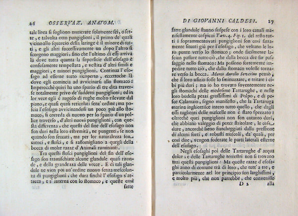 Osservazioni anatomiche di Giovanni Caldesi aretino intorno alle tartarughe marittime, d'acqua dolce, e terrestri. Scritte in una lettera all'illustriss. sig. Francesco Redi