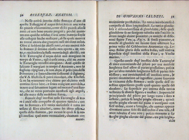 Osservazioni anatomiche di Giovanni Caldesi aretino intorno alle tartarughe marittime, d'acqua dolce, e terrestri. Scritte in una lettera all'illustriss. sig. Francesco Redi