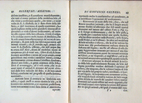 Osservazioni anatomiche di Giovanni Caldesi aretino intorno alle tartarughe marittime, d'acqua dolce, e terrestri. Scritte in una lettera all'illustriss. sig. Francesco Redi