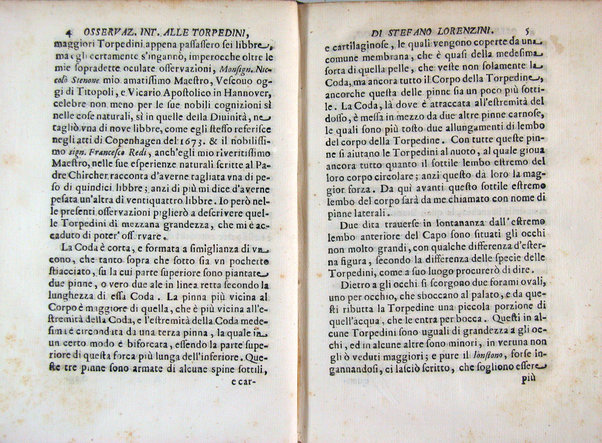 Osservazioni intorno alle torpedini fatte da Stefano Lorenzini fiorentino, e dedicate al serenissimo Ferdinando 3. principe di Toscana