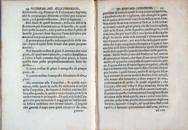 Osservazioni intorno alle torpedini fatte da Stefano Lorenzini fiorentino, e dedicate al serenissimo Ferdinando 3. principe di Toscana