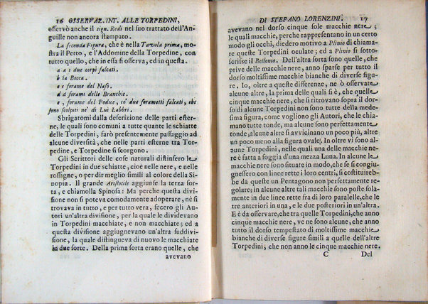 Osservazioni intorno alle torpedini fatte da Stefano Lorenzini fiorentino, e dedicate al serenissimo Ferdinando 3. principe di Toscana
