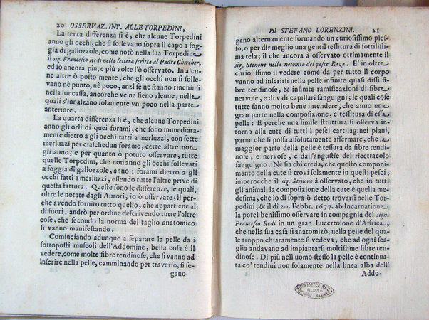 Osservazioni intorno alle torpedini fatte da Stefano Lorenzini fiorentino, e dedicate al serenissimo Ferdinando 3. principe di Toscana