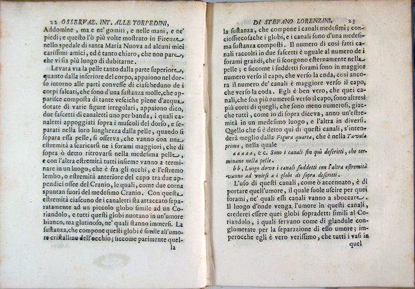 Osservazioni intorno alle torpedini fatte da Stefano Lorenzini fiorentino, e dedicate al serenissimo Ferdinando 3. principe di Toscana